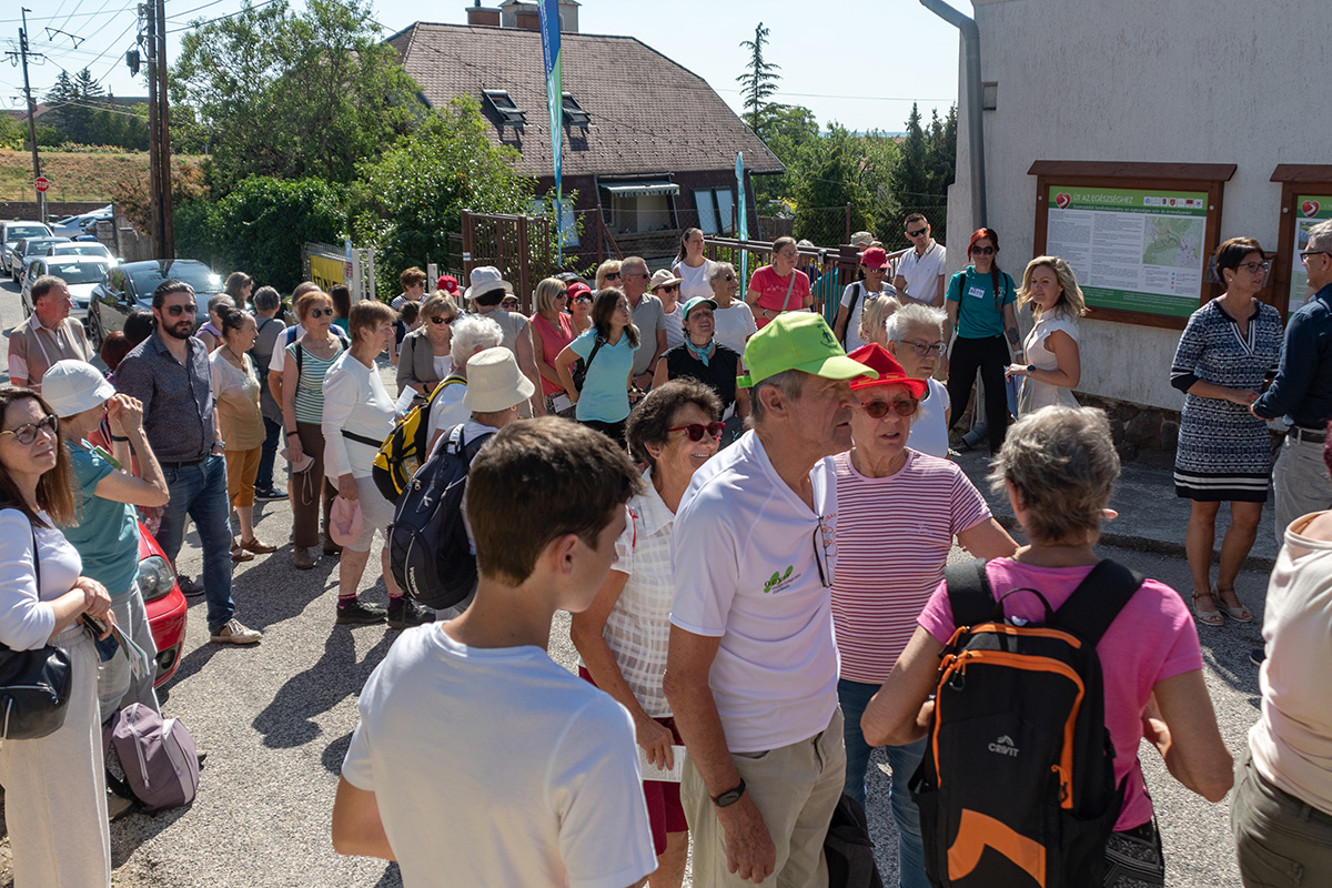 kardiotanosveny